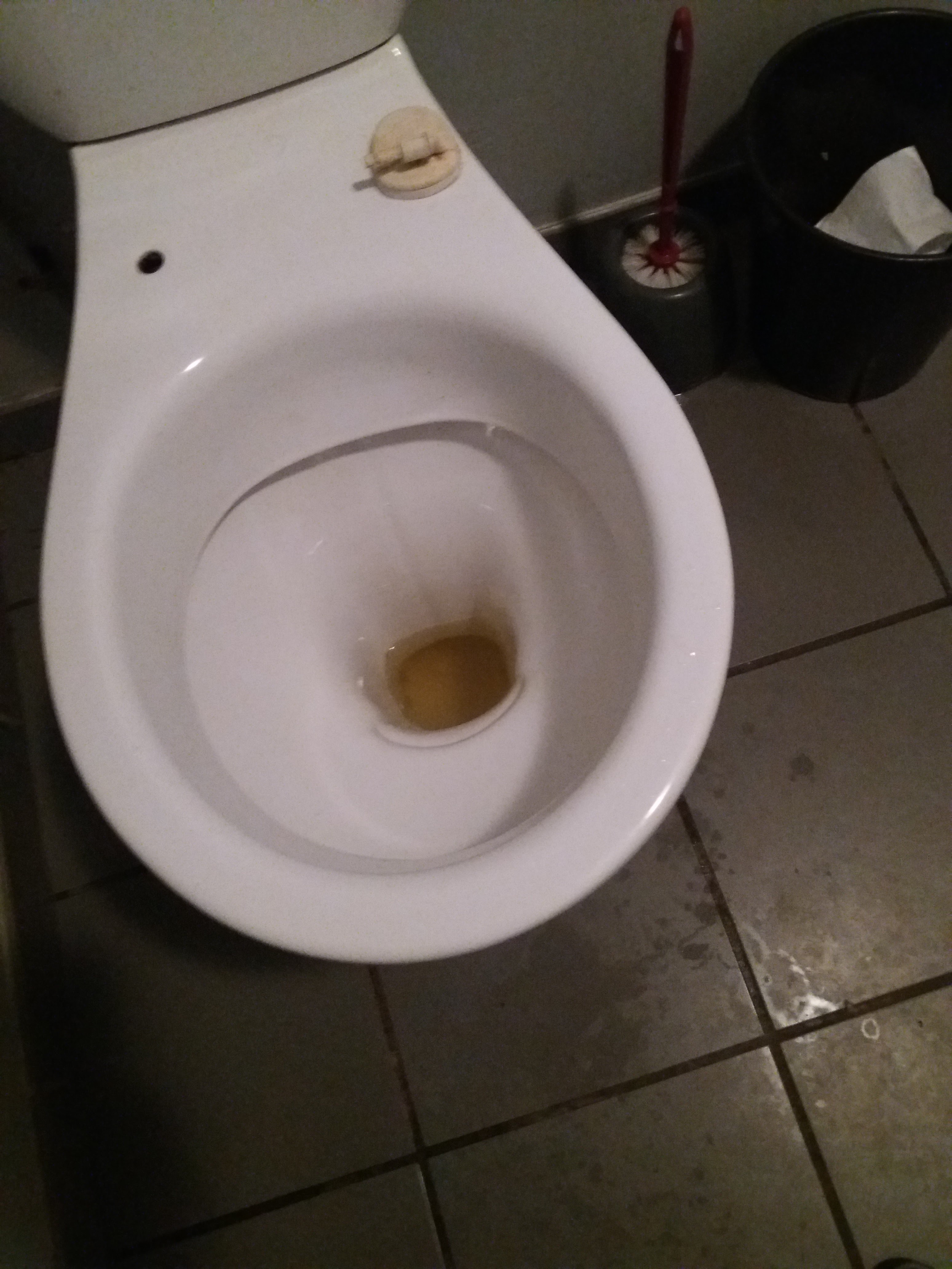 Photo n° 4 de l'avis de bouré.i fait le 27/07/2018 à 06:48