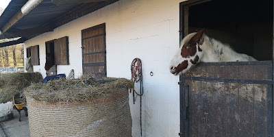 Haras des Trois Pays à Alembon