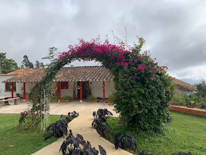 Madre Cocoon, Colombia Retreats