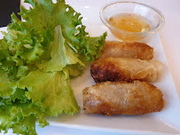Rouleau de printemps du Restaurant vietnamien Étoile d'Asie à Lyon - n°20