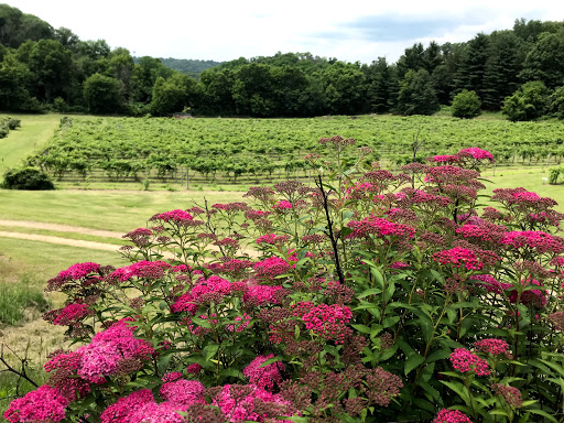 Winery «Falconer Vineyards», reviews and photos, 3572 Old Tyler Rd, Red Wing, MN 55066, USA