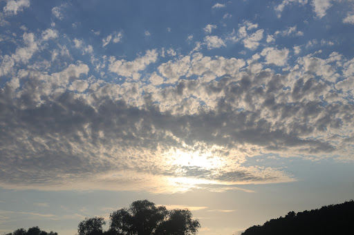 Festival «Foster Farms», reviews and photos, 3443 Crescent Ave, Eau Claire, WI 54703, USA