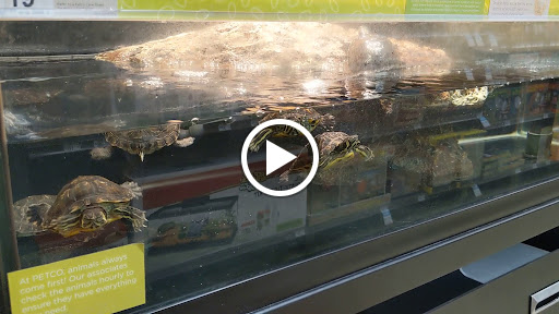 Pet Supply Store «Petco Animal Supplies», reviews and photos, 1470 E Hallandale Beach Blvd, Hallandale Beach, FL 33009, USA