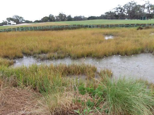 Private Golf Course «Sea Island Golf Course», reviews and photos, 100 Retreat Avenue, Saint Simons Island, GA 31522, USA