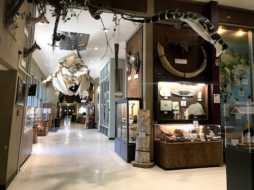 Museum «Sierra College Natural History Museum», reviews and photos, 5000 Rocklin Rd, Rocklin, CA 95677, USA