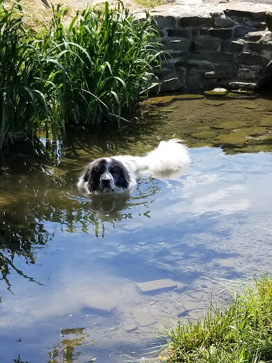 Park «Rose Hill Manor Park», reviews and photos, 1611 N Market St, Frederick, MD 21701, USA