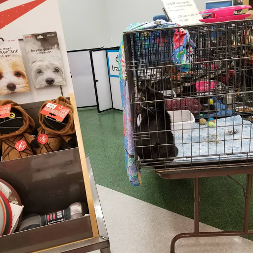 Pet Supply Store «Petco Animal Supplies», reviews and photos, 9078 SE Sunnyside Rd, Clackamas, OR 97015, USA