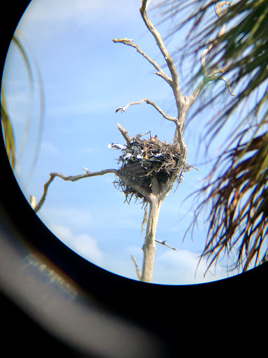 Nature Preserve «Cockroach Bay Aquatic Preserve», reviews and photos, 3839 Gulf City Rd, Ruskin, FL 33570, USA