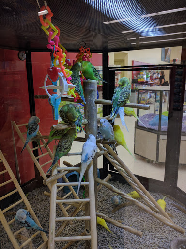 Pet Supply Store «Petco Animal Supplies», reviews and photos, 1624 Governors Square Blvd, Tallahassee, FL 32301, USA