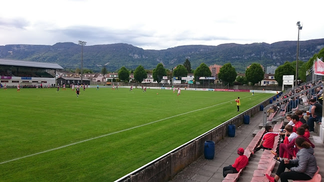Rezensionen über Stadion FC Solothurn in Olten - Sportstätte