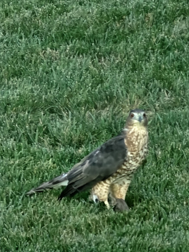 Park «Blandair Regional Park», reviews and photos, 5750 Oakland Mills Rd, Columbia, MD 21045, USA