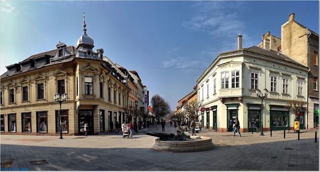 Győr, Baross Gábor út 19, 9021 Magyarország