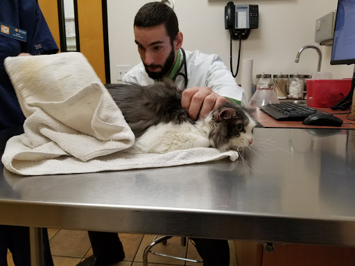 Pet Supply Store «PetSmart», reviews and photos, 26532 Towne Centre Dr, Foothill Ranch, CA 92610, USA