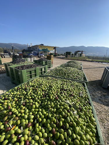 ΕΛΑΙΟΤΡΙΒΕΙΟ ΝΤΑΛΟΣ ΕΜΜΑΝΟΥΗΛ - Ανθεμούντας