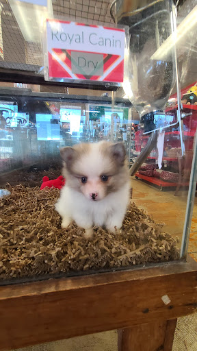 Pet Store «Hendersonville Pet Shop», reviews and photos, 1400 Spartanburg Hwy, Hendersonville, NC 28792, USA