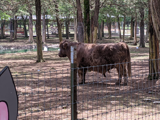 Tourist Attraction «Lucky Ladd Farms», reviews and photos, 4374 Rocky Glade Rd, Eagleville, TN 37060, USA