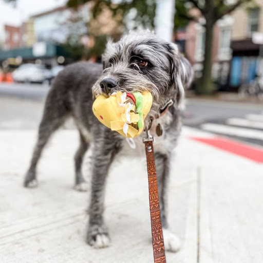 Pet Supply Store «Dogge Style Pets Passyunk», reviews and photos, 1700 E Passyunk Ave, Philadelphia, PA 19148, USA