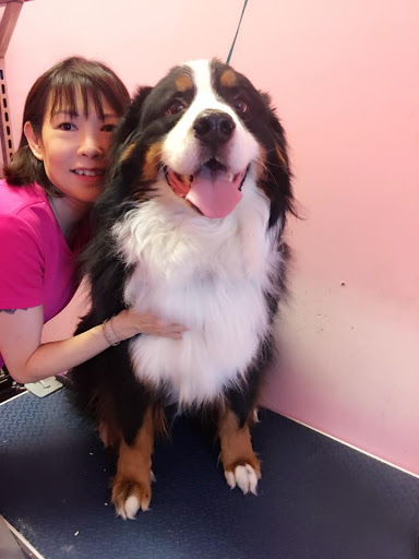 Pet Groomer «Woof Gang Bakery & Grooming Las Vegas», reviews and photos, 7080 N Durango Dr #140, Las Vegas, NV 89149, USA