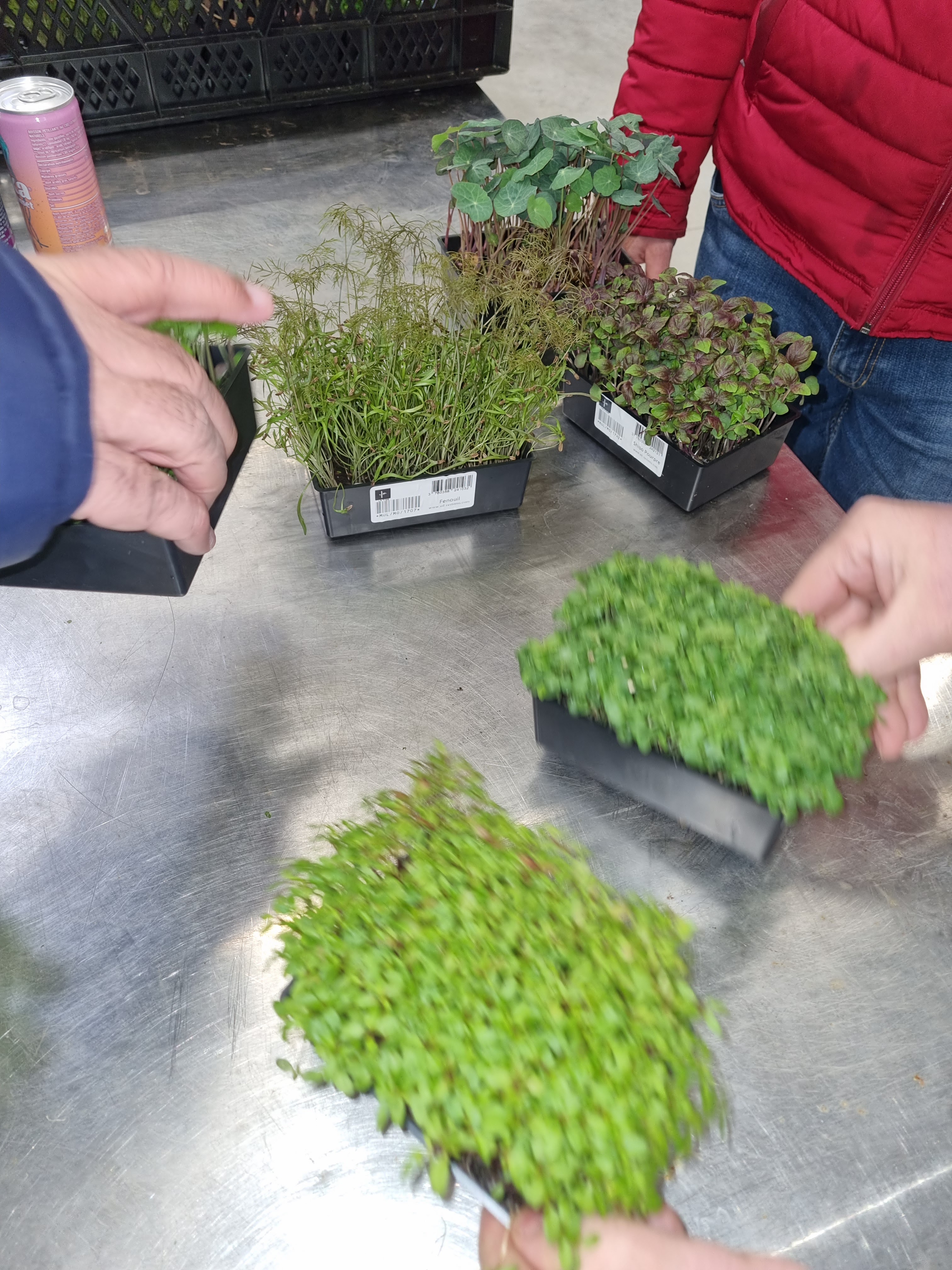 Photo n° 4 de l'avis de Yan.e fait le 23/04/2024 à 03:40