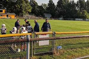 Grand Ledge Area Youth Football image