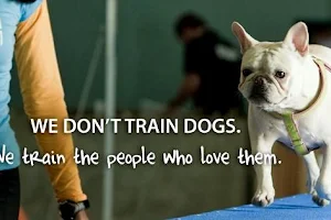 Zoom Room Dog Training image