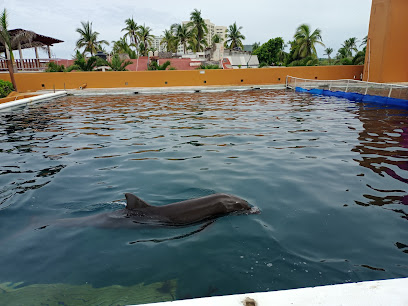 Delfiniti de México