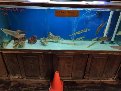 Tropical Fish Store «Keller Farms», reviews and photos, 3405 Denton Hwy, Haltom City, TX 76117, USA