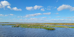 Lake Apopka Wildlife Drive