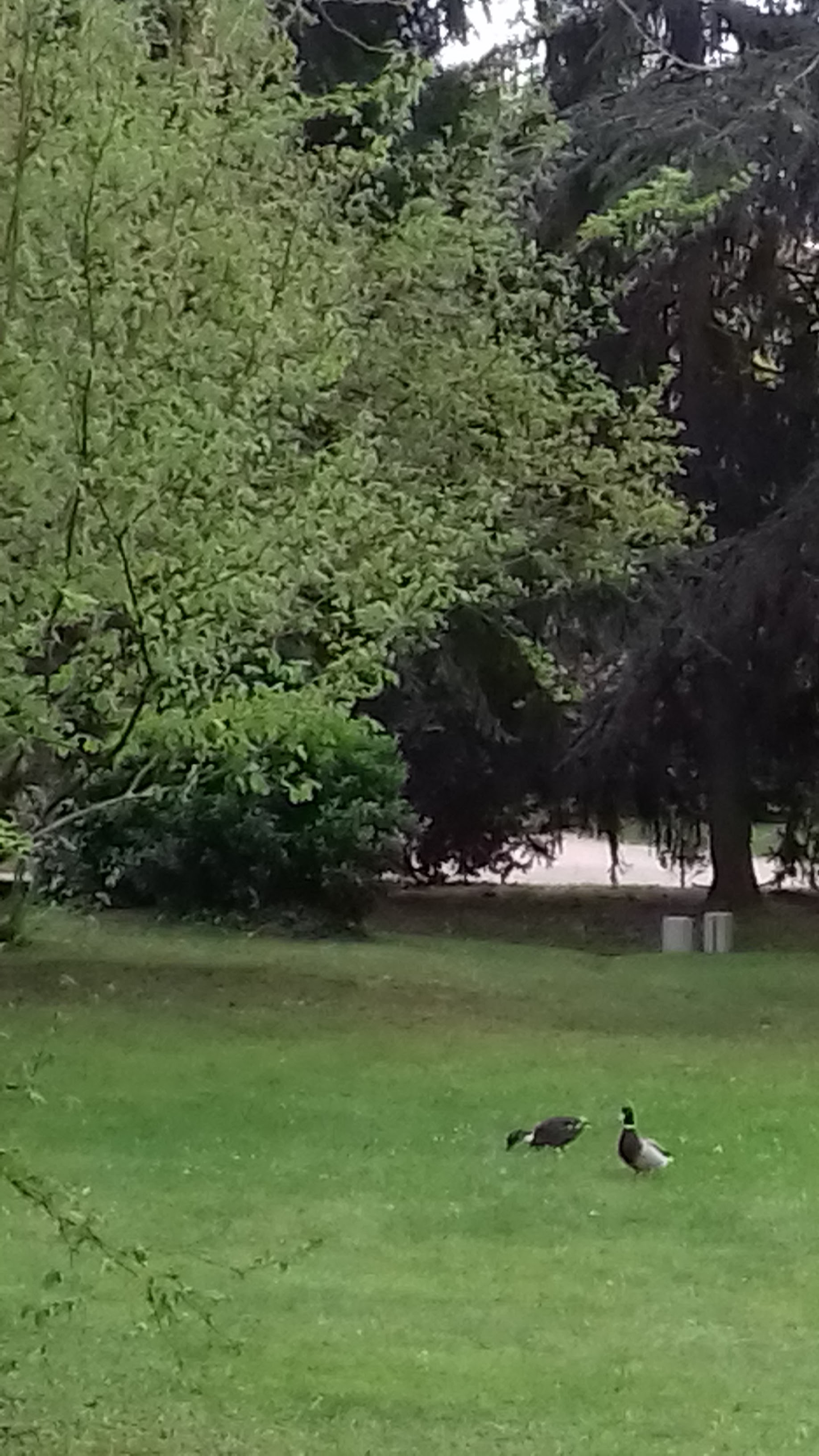 Photo n° 14 de l'avis de veronique.a fait le 12/04/2019 à 05:39