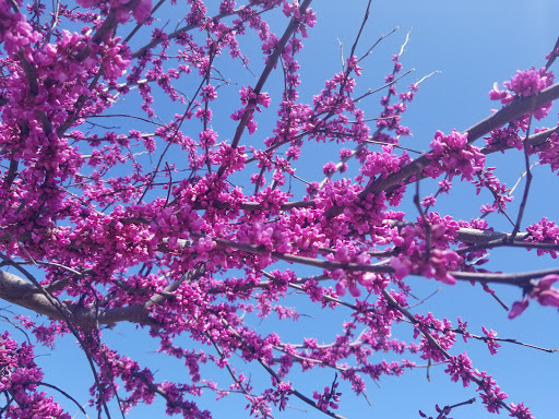 Park «Long Bridge Park», reviews and photos, 475 Long Bridge Drive, Arlington, VA 22202, USA