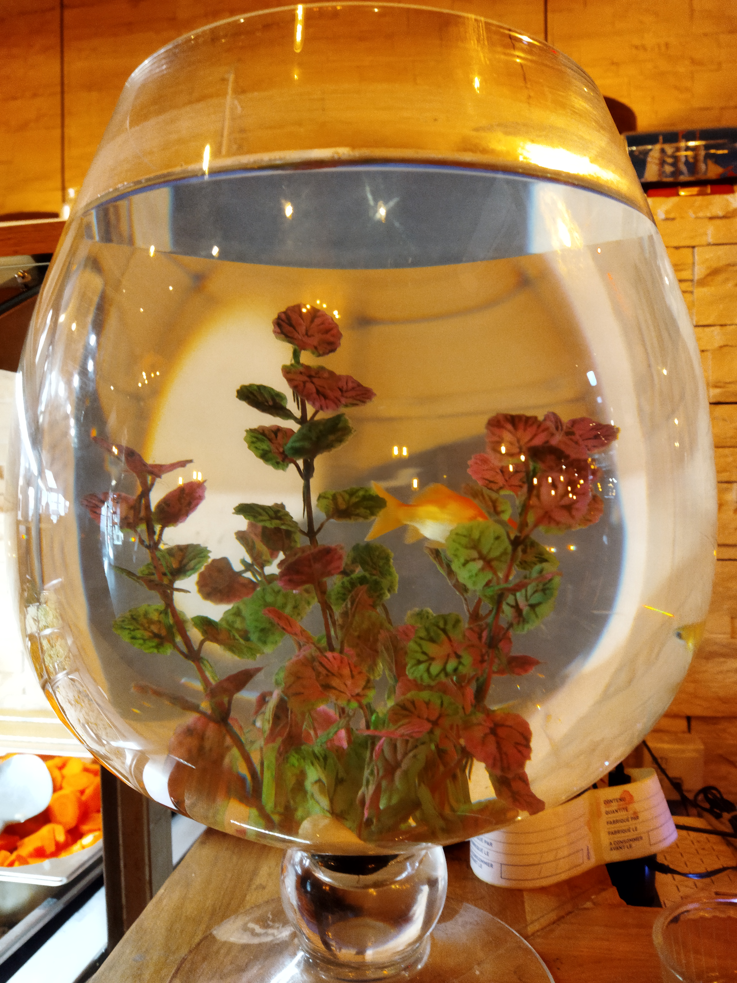 Photo n° 3 de l'avis de faouzi.h fait le 17/01/2023 à 11:42