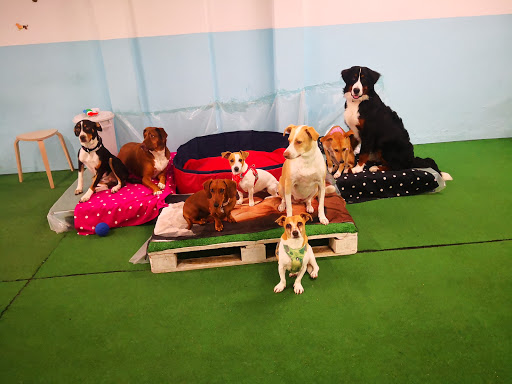TAILS Creche canina By Petmais