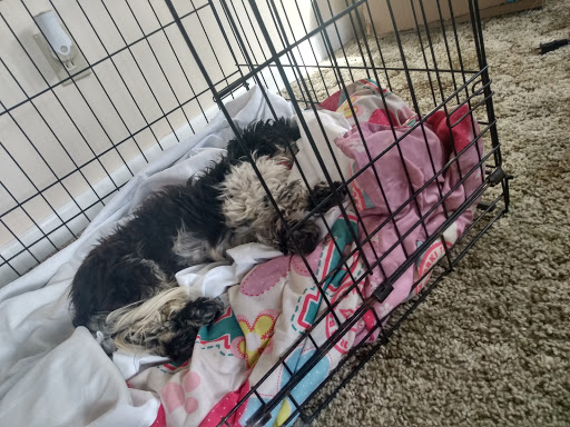 Mahoning County Dog Warden