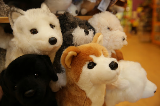 Toy Store «Genuine Toy Co.», reviews and photos, 550 Forest Ave Suite 8, Plymouth, MI 48170, USA