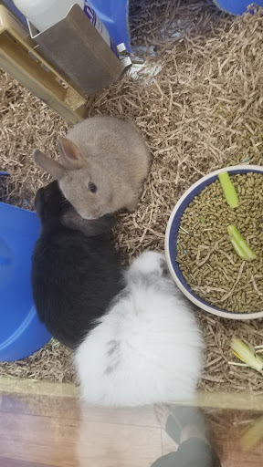 Pet Supply Store «Pet Supermarket», reviews and photos, 835 Blanding Blvd, Orange Park, FL 32065, USA