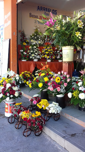 Floreria Hidalgo florería en  en la zona Centro