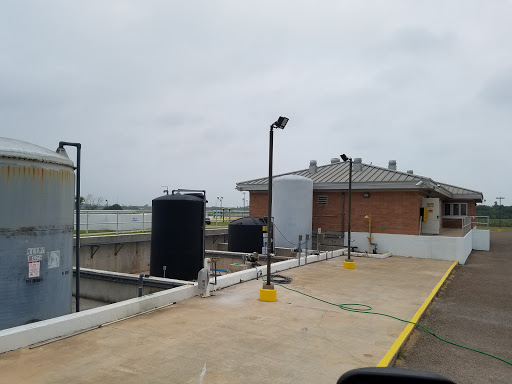 Donna Water Plant