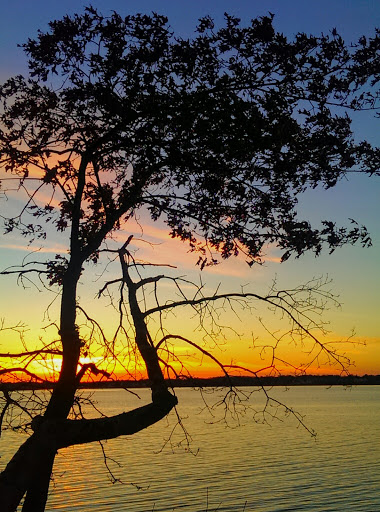 Park «Rose Larisa Park», reviews and photos, 701 Bullocks Point Ave, Riverside, RI 02915, USA