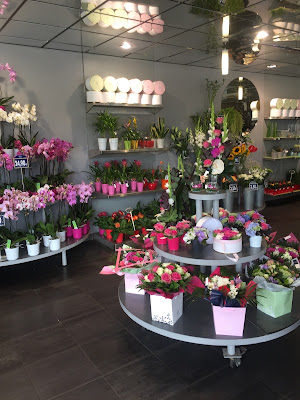 Monceau Fleurs à Brest