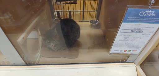 Pet Supply Store «PetSmart», reviews and photos, 2028 Miamisburg Centerville Rd, Dayton, OH 45459, USA