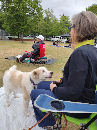 Park «Lake Boren Park», reviews and photos, 13058 SE 84th Way, Newcastle, WA 98056, USA