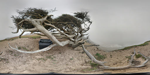 Park «Mussel Rock Park», reviews and photos, Skyline Dr & Westline Dr, Daly City, CA 94015, USA