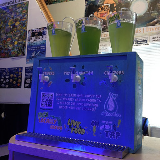 Tropical Fish Store «Hooked On Reefs», reviews and photos, 228 Hibiscus St #1, Jupiter, FL 33458, USA