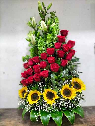 FLORERIA Y NOVEDADES VIRI – San Nicolás de los Garza