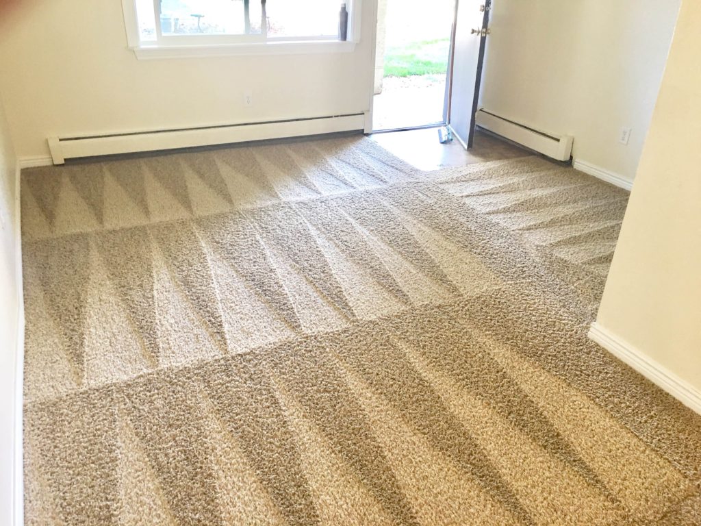 BROWARD COUNTY CARPET CLEANING INC