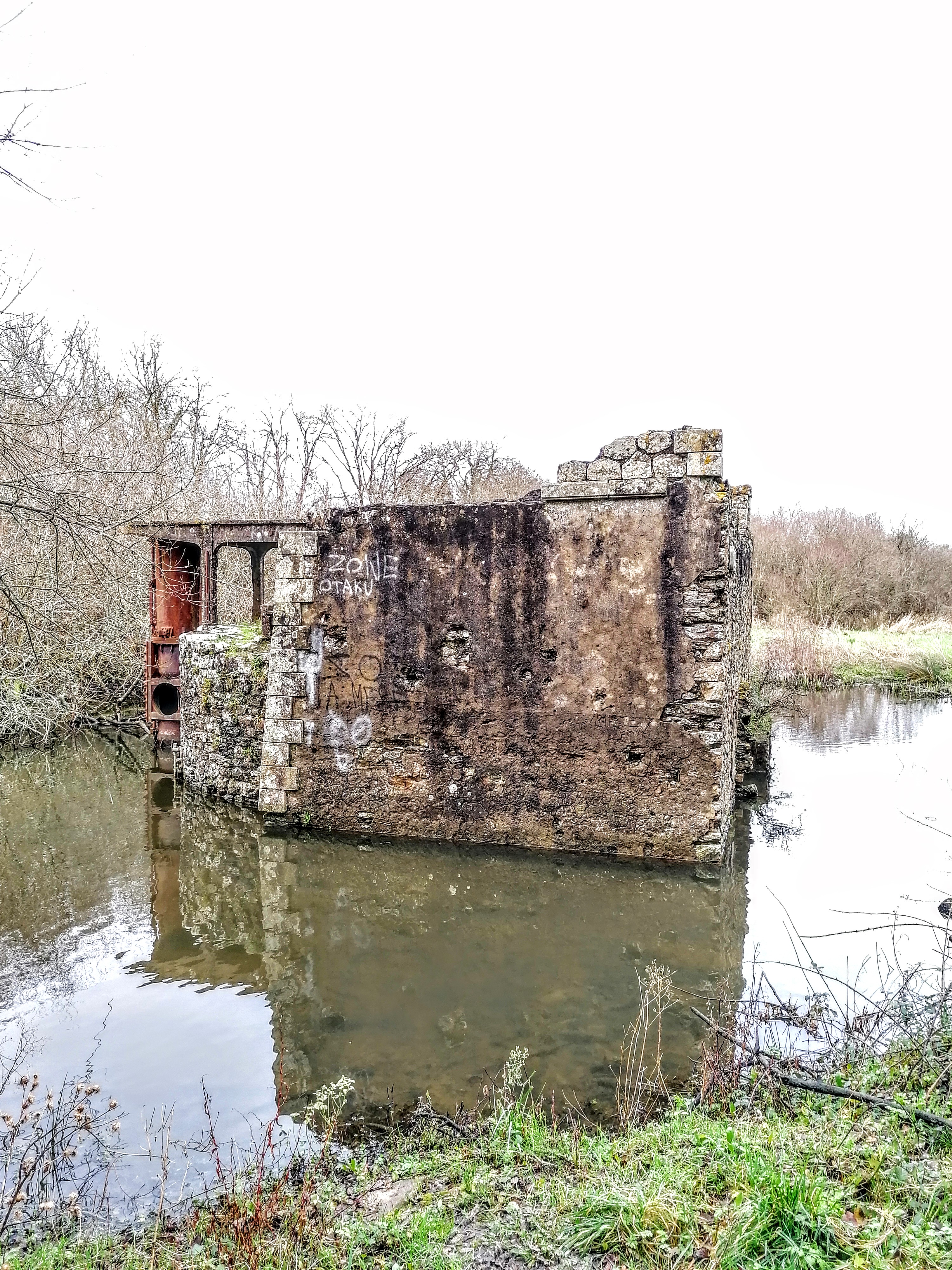 Photo n° 13 de l'avis de artem.a fait le 02/01/2020 à 15:29
