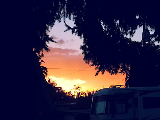 RV Park «Shamrock Village RV Park», reviews and photos, 4531 Franklin Blvd, Eugene, OR 97403, USA