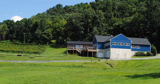 Vineyard «Naked Mountain Winery & Vineyards», reviews and photos, 2747 Leeds Manor Rd, Markham, VA 22643, USA