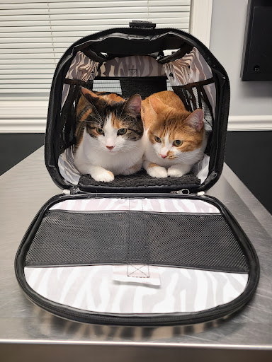 59 NJ-94, Hamburg, NJ 07419, USA