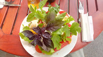 Salade du Sandwicherie Saveurs et Terroirs à Arles - n°3